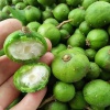 Quả sấu vừa thu hoạch tươi ngon, VietGAP